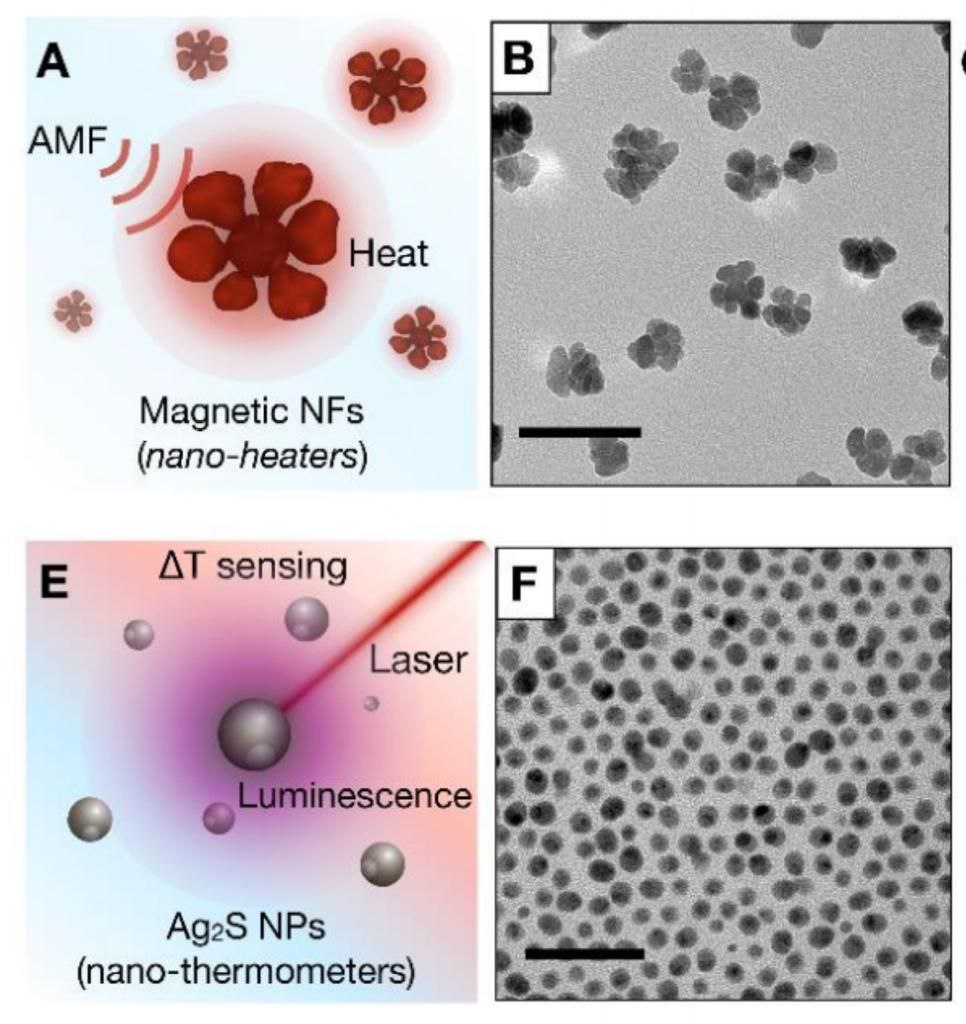 nanoBig paper