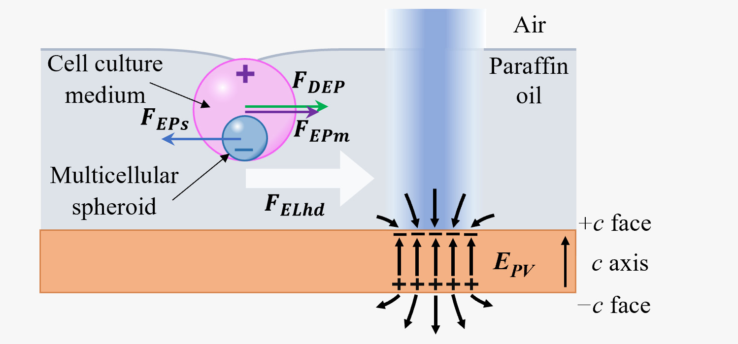 nanoBig paper