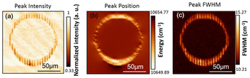 scientific image referred to spectroscopy and fluorescence imaging of photonic devices